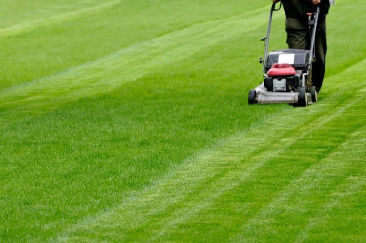 Quick and Easy Lawn Mowing and Maintenance for your Home
